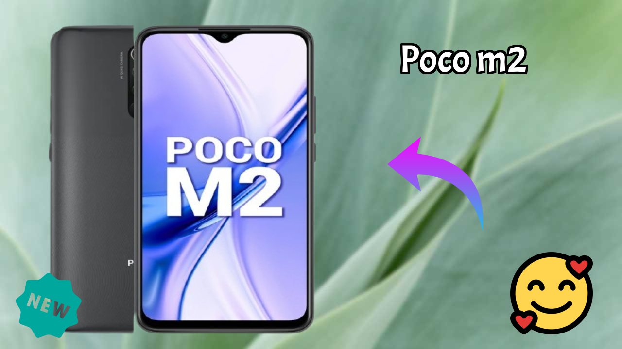 POCO M2 Display Review: 6.53 Inches (16.59 Cm) Screen Size